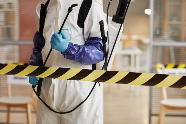 Professional Odor Removal technician working in Jefferson, OH